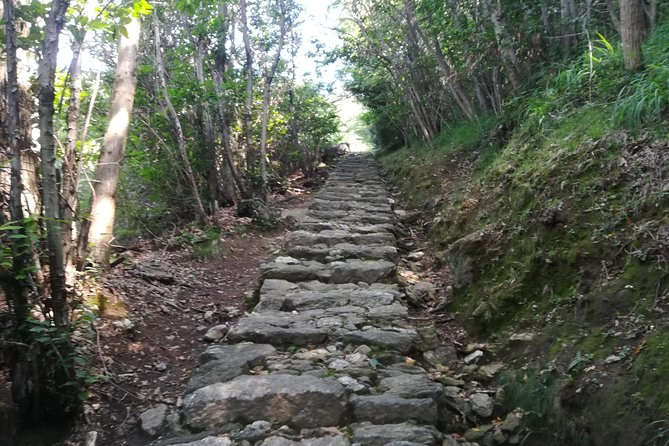 2 Days Trekking - Il Sentiero del Viandante: from Varenna to Colico - Why this two-day route feels different from a Lake Como day trip