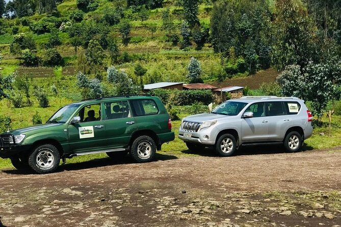 2 days Uganda Gorilla trekking - What the $1,750 price really covers