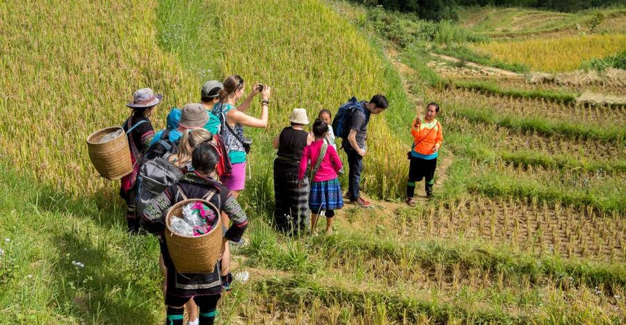 2 Night Lao Chai-Ta Van Homestay- Trekking & Fansipan Visit - Fitness, clothing, and what to pack