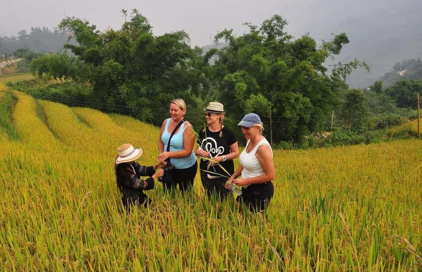 2 Nights At Sapa Homestay - Trekking & Fansipan Visit - Guides, transport, and the small details that matter