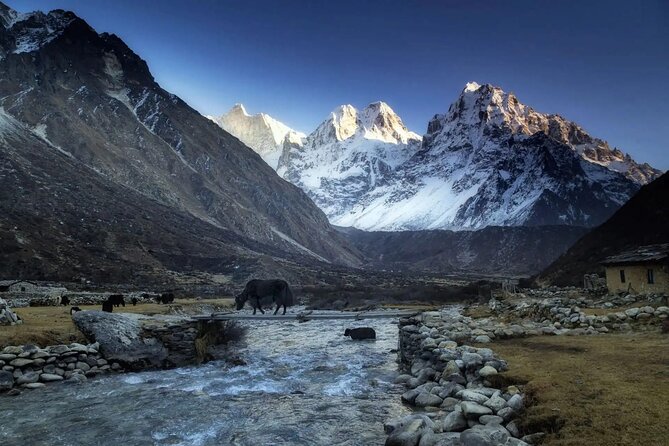 20 Days Private Kanchenjunga Circuit Trek - Kambachen and Lhonak: the route gets serious