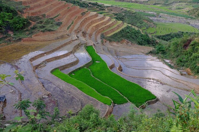2D1N Buffalo trek by Hmong Sister House and Trekking - Starting at Zizi’s homestay around 7 a.m.