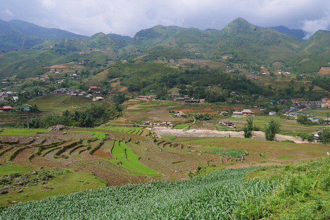 2D1N Buffalo trek by Hmong Sister House and Trekking - Rice terraces, forest paths, and the climb to the buffalo house