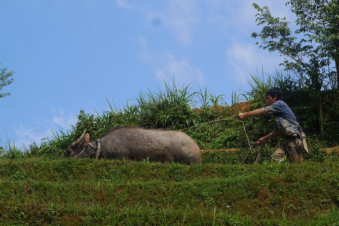 2D1N Buffalo trek by Hmong Sister House and Trekking - The waterfall finish
