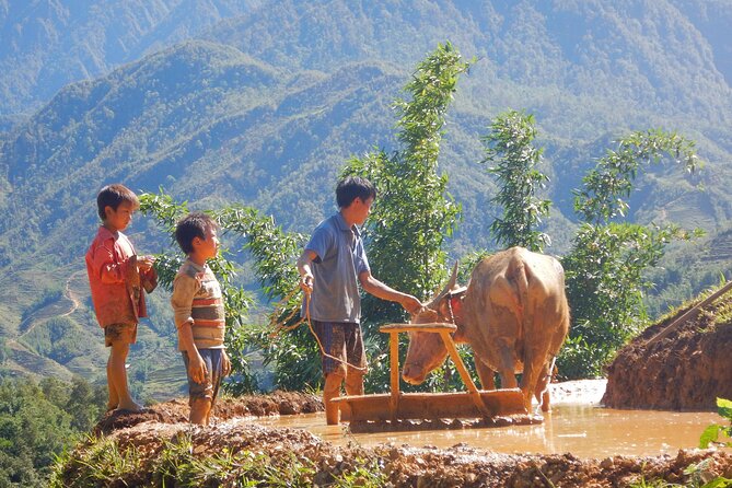 2D1N Buffalo trek by Hmong Sister House and Trekking - Day one through Hau Thao and Hmong villages