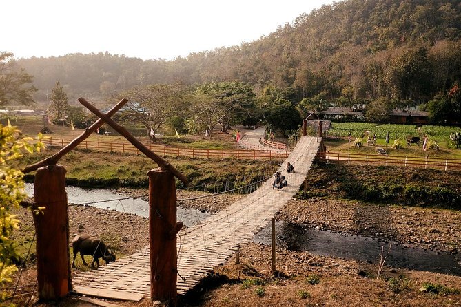 2D1N Mae Wang National Park Jungle Trekking Adventure from Chiang Mai - Is the walking suitable for you?