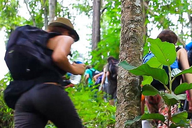 2D1N Mae Wang National Park Jungle Trekking Adventure from Chiang Mai - The practical questions to settle before departure