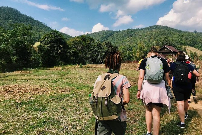 2D1N Mae Wang National Park Jungle Trekking Adventure from Chiang Mai - Lunch at the waterfall, then three hours on foot