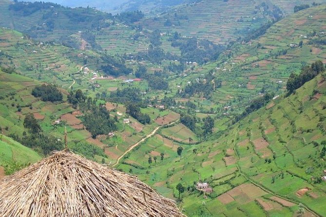 2days Bwindi NP gorilla trekking - Booking timing and cancellation rules