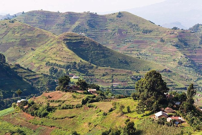 2days Bwindi NP gorilla trekking - Who should book this gorilla trek?