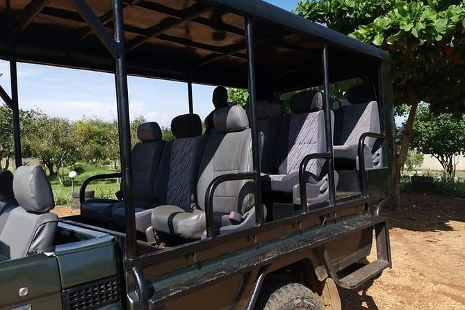 2days Bwindi NP gorilla trekking - Dinner, lodging, and the details worth confirming