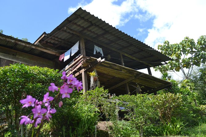 3-Day Chiang Dao Mountain Trek - Key points to know before you book