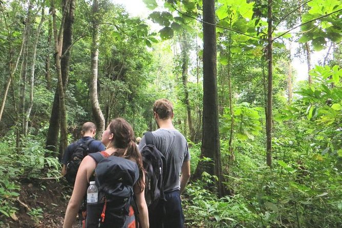 3-Day Chiang Dao Mountain Trek - Why this Chiang Dao trek feels different