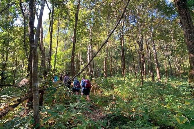 3-Day Chiang Dao Mountain Trek - Guides Tan and Sap add real value