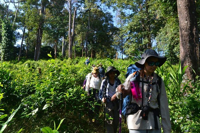 3-Day Chiang Dao Mountain Trek - Is the $256 price fair?