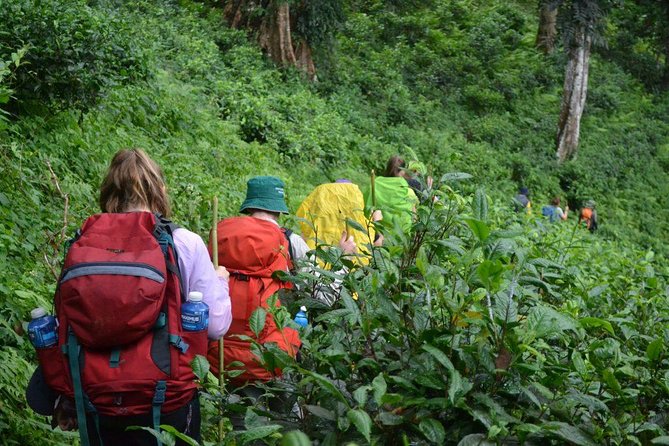 3-Day Chiang Dao Mountain Trek - Day one: leaving Chiang Mai for the mountain villages