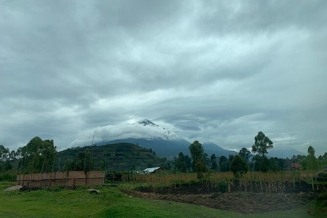 3 Day Gorilla Trek at Bwindi National Park via Kigali - Who should book this three-day trek