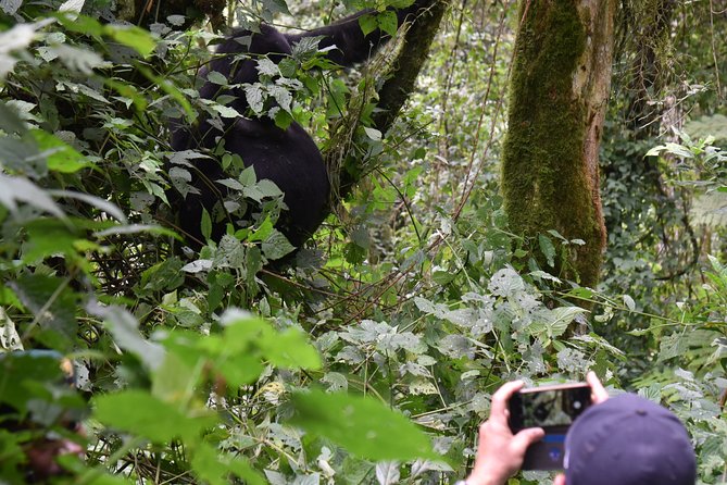 3-Day Gorilla Trekking safari in Bwindi Impenetrable Forest - Arrival at Bwindi and the Batwa visit