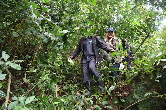 3-Day Gorilla Trekking safari in Bwindi Impenetrable Forest - Guides, communication, and flexibility