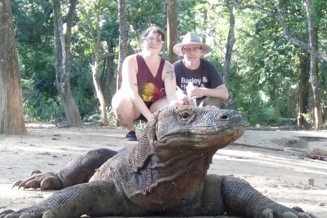 3-Day Komodo National Park Tour: Komodo Island and Rinca Island Trek - Why this Komodo trip feels different