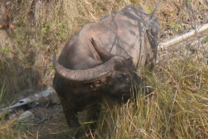 3-Day Komodo National Park Tour: Komodo Island and Rinca Island Trek - Day three: Batu Cermin Cave and Labuan Bajo