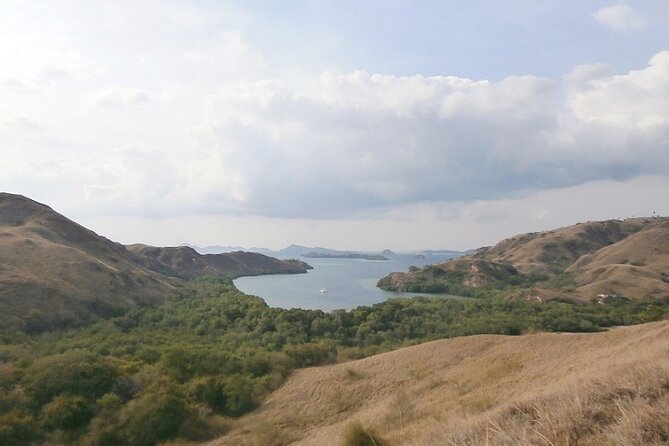 3-Day Komodo National Park Tour: Komodo Island and Rinca Island Trek - The real cost of the $1,224.36 price