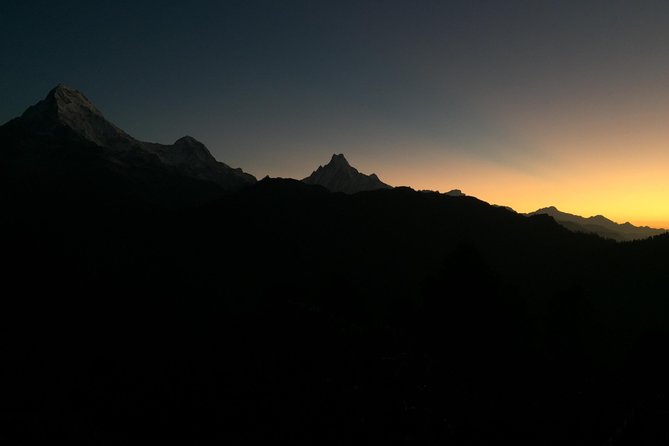 3-Day Poon Hill Trek from Pokhara. - Rhododendron forests, rice fields, and village paths