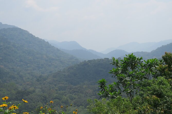3 -Day Private Gorilla Trekking Safari in Bwindi Forest - After the trek: the quiet waters of Lake Bunyonyi