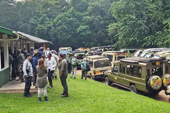 3-Day Private Guided Gorilla Trekking In Uganda - Day 2: The gorilla trek in Bwindi