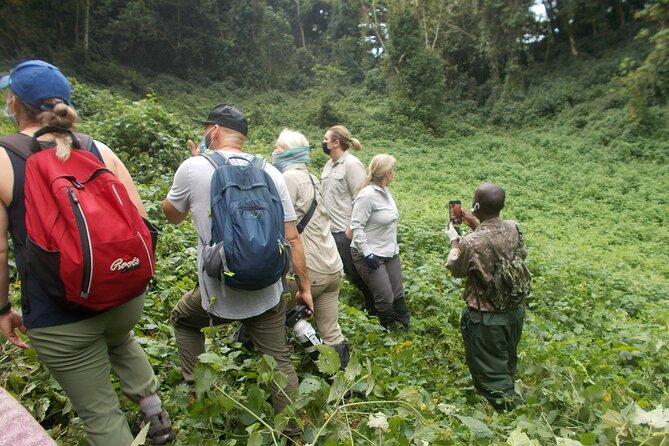 3 Day Rwanda to Uganda gorilla trekking Safari - From Kigali to Uganda in one long morning