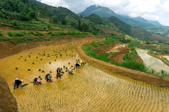 3-Day Sapa Trek, visit Fansipan (cable car) from Hanoi with local - Day three: Fansipan without the full climb