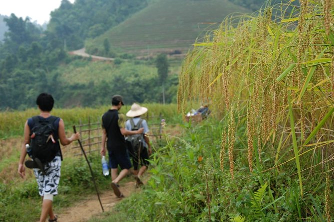 3-Day Trek in Amazing Muong Hoa Valley & ethnic Homestay - The homestay nights and what they add