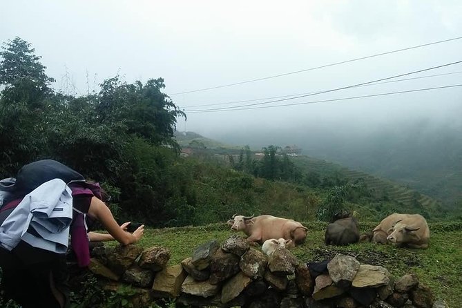 3-Day Trek in Amazing Muong Hoa Valley & ethnic Homestay - Is $109 a good value?