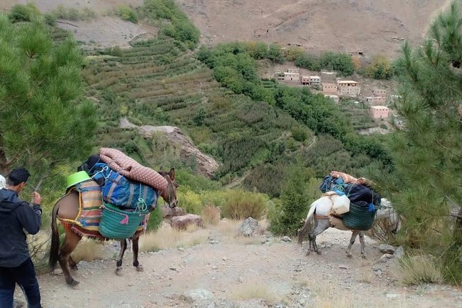 3 Day Trek in the Atlas Mountains and Berber Villages from Marrakech - Day 1: Imlil, Tizi n’Tamatert, and Tachddirt