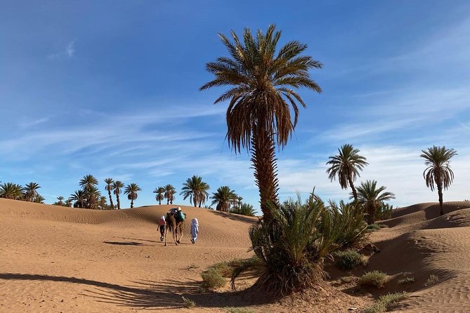 3-day trek - In the shade of palm trees - Key points at a glance