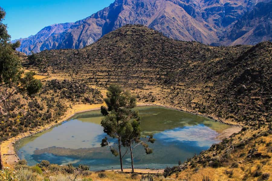 3-day trek to the Colca Canyon from Arequipa ending in Puno - Key points at a glance