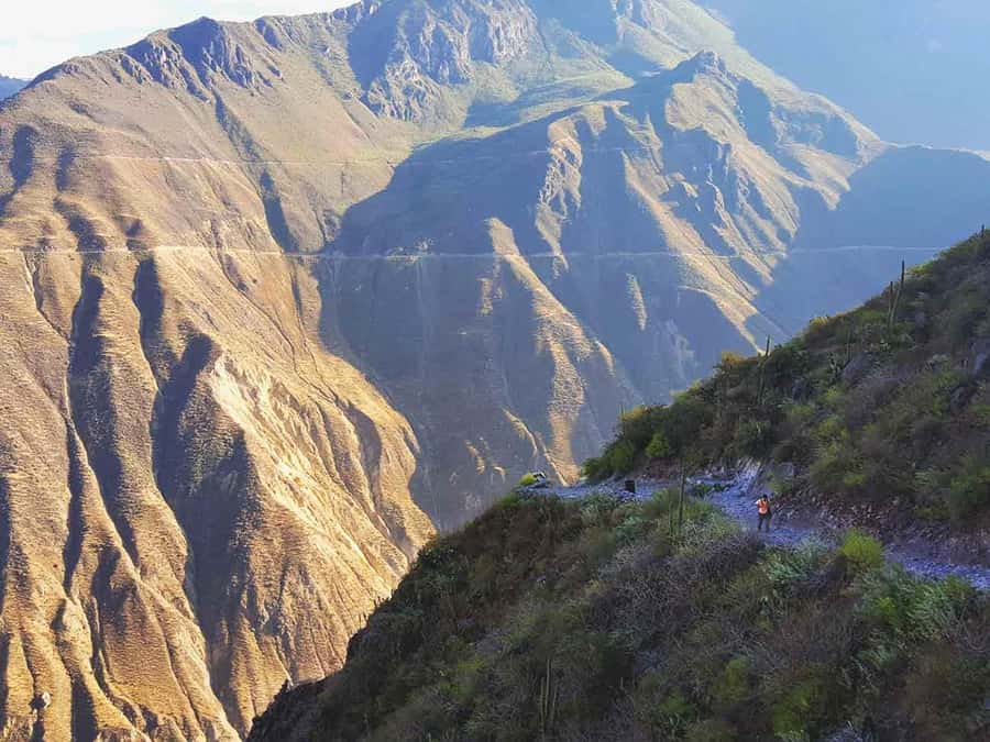 3-day trek to the Colca Canyon from Arequipa ending in Puno - What the $175 price really covers