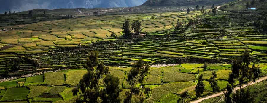 3-day trek to the Colca Canyon from Arequipa ending in Puno - Who will get the most from this canyon route?