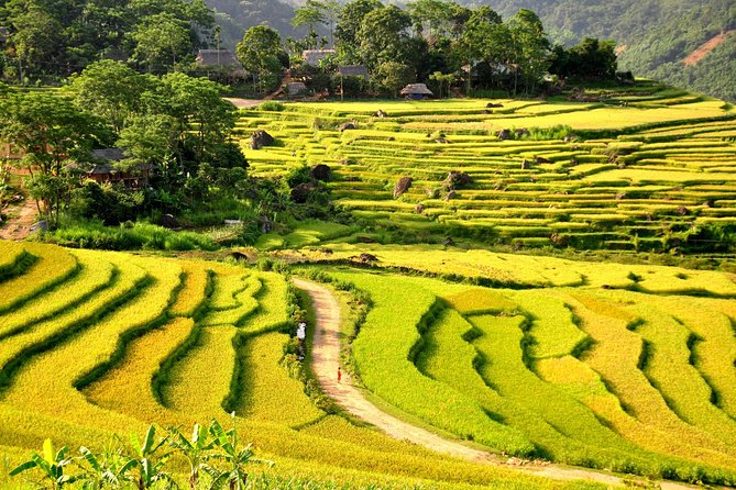 3-Day Trekking In Pu Luong Nature Reserve Private Tour - Day two: the main Pu Luong walking day