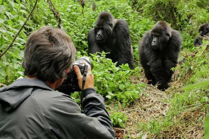 3 Day Uganda Gorilla Trekking and Batwa Pygmies Experience - The guides and the human side of the trip