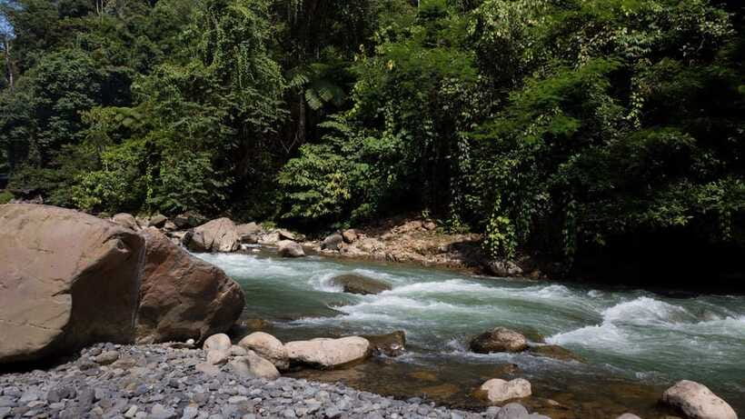 3 Days 2 Nights Orangutan Trek Bukit Lawang - Should you book the Bukit Lawang orangutan trek?