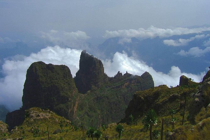 3 Days Bale Mountains Trekking - Day Two: Sanetti Plateau at 4,000 Meters