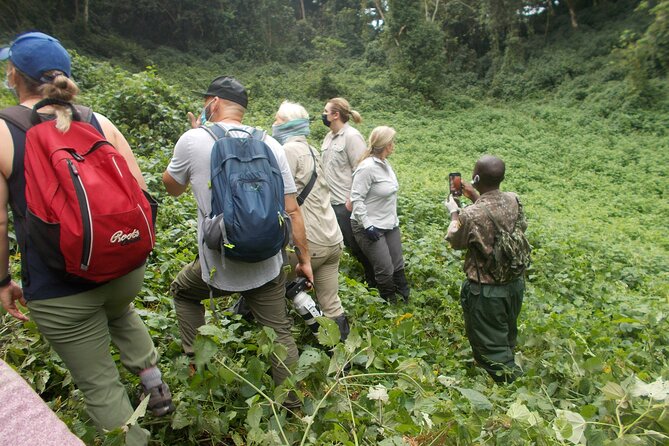 3 Days Bwindi Gorilla Trekking tour - Final call: Is it worth booking?