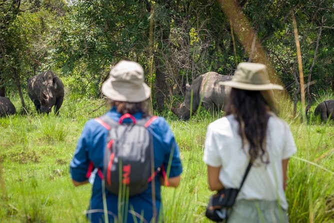 3 Days gorilla trekking Safari tour in Uganda - Why Bwindi makes this short safari worthwhile