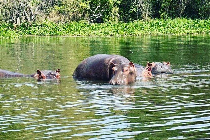 3 Days gorilla trekking Safari tour in Uganda - Lake Bunyonyi adds a gentler second act
