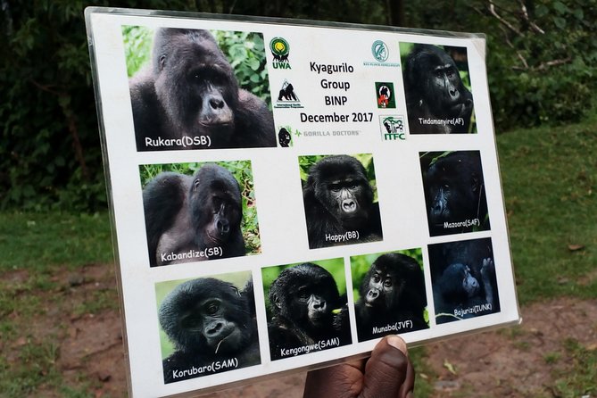 3 Days Gorilla trekking Safari Uganda, Bwindi Impenetrable Forest - Day one: the long road from Kampala to Bwindi