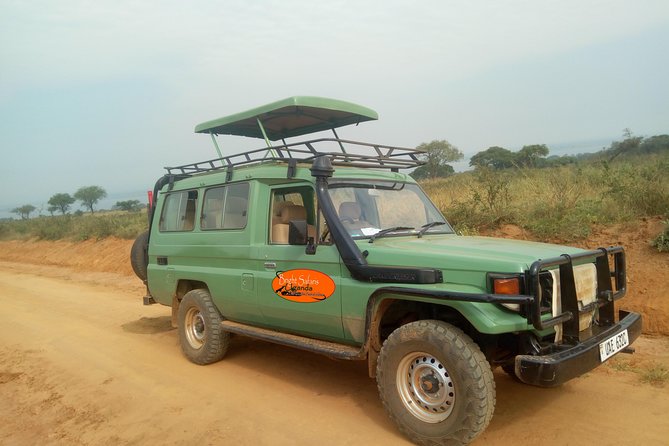 3 Days Lake Bunyonyi and Gorilla Trekking Tour in Uganda - Who should book this three-day Uganda trip?