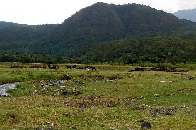 3 Days Mount Meru Trek - Day two: Miriakamba Hut to Saddle Hut
