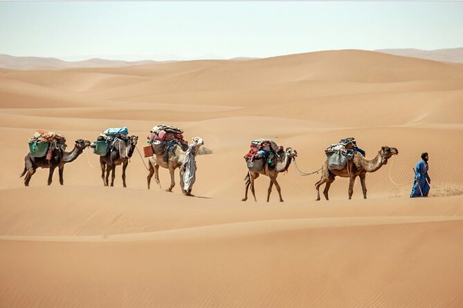 3-Days Private Sahara Desert Trek - Leaving MHamid for the Sahara