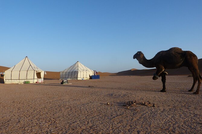 3-Days Private Sahara Desert Trek - Erg Dwib and the sunset tea ritual